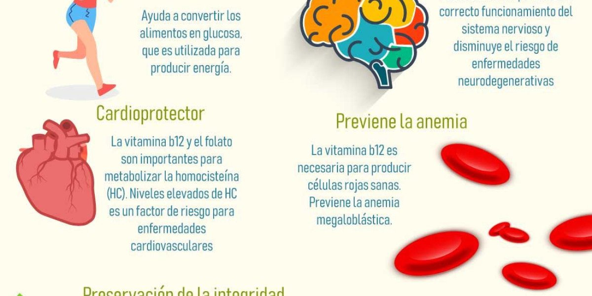 Complejo B: ¿Qué es y cuáles son sus beneficios?