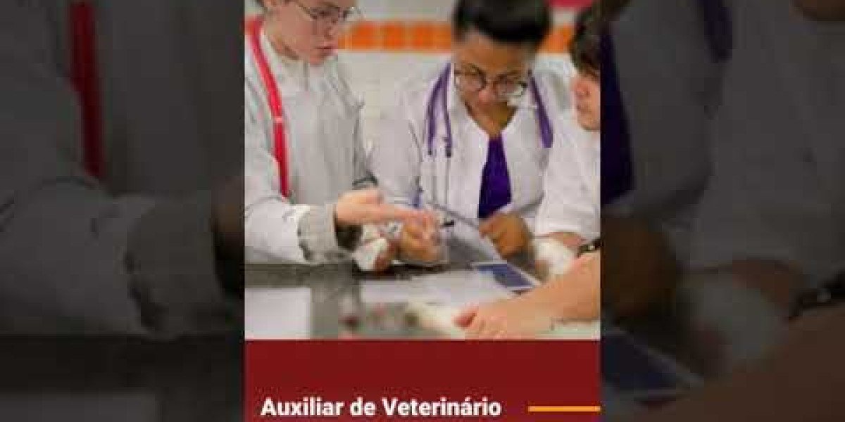 PRÉ 3 Veterinário: Tudo o que Você Precisa Saber para Cuidar do Seu Cão ou Gato