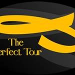 Theperfect tour profile picture