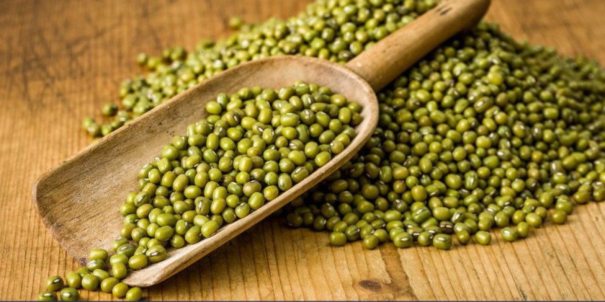 Mung Beans Market: Growth Trends, Key Drivers, and Future Outlook (2025-2034)