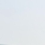 Rose Mary Profile Picture